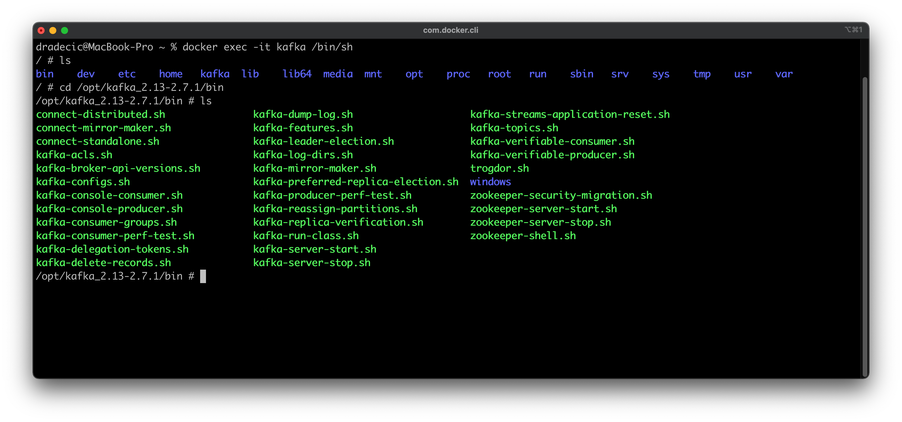 Image 1 — Opening a Kafka shell (image by author)