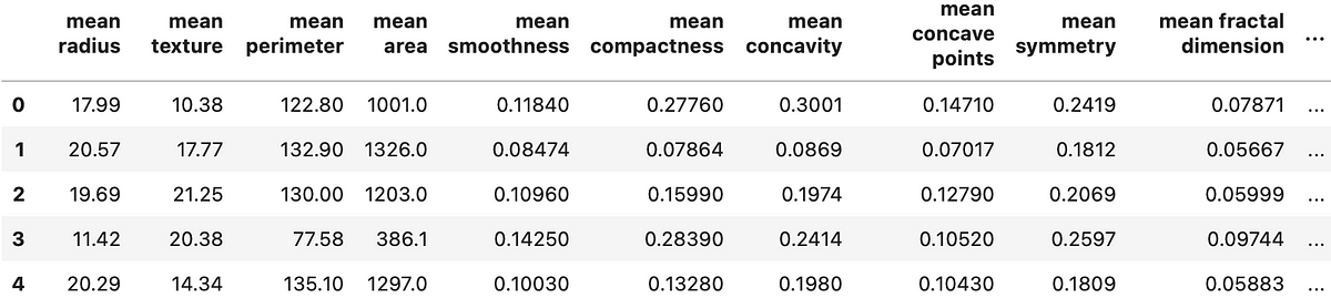 Image 1 — Head of Breast cancer dataset (image by author)