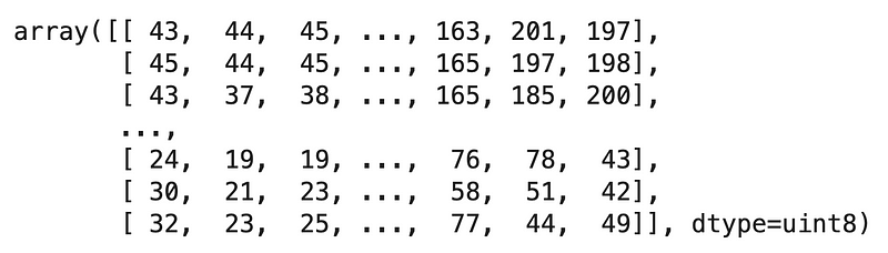 Image 11 — Cat image in a matrix format after max pooling (image by author)