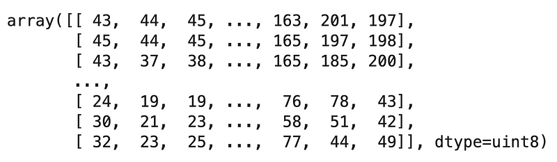 Image 15 — Cat image after applying Max pooling with TensorFlow (image by author)