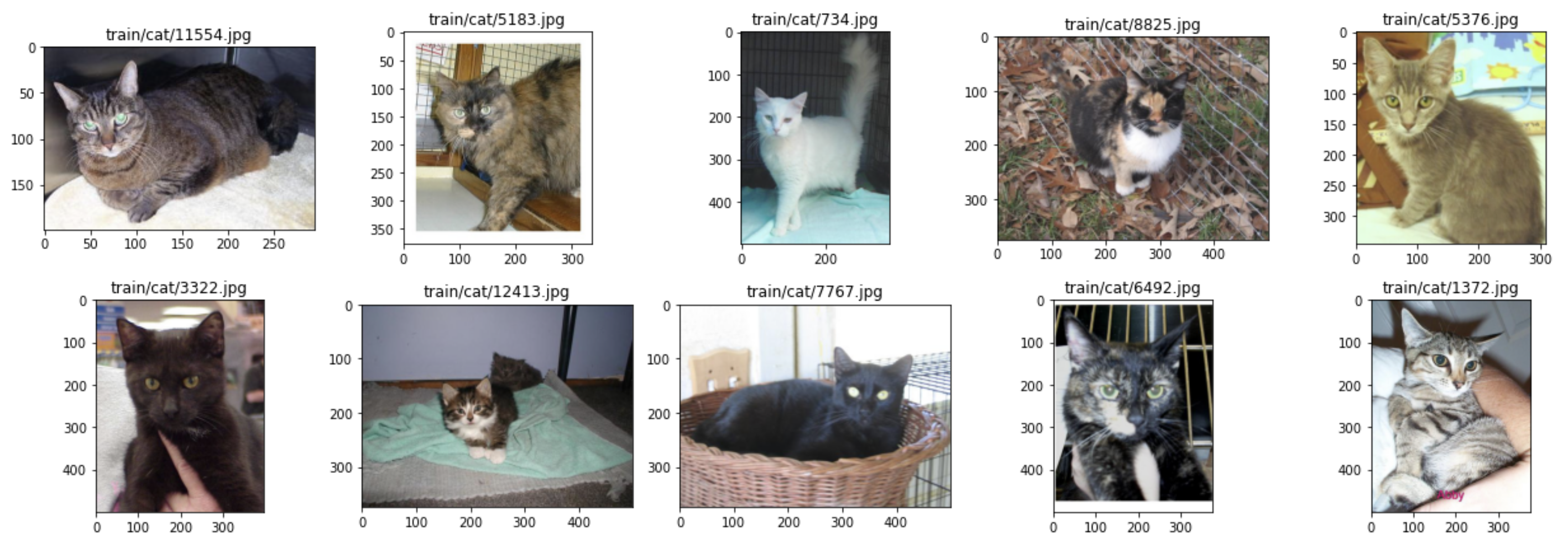 Image 6 — Random subset of cat images (image by author)