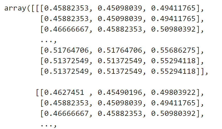 Image 9 — Image converted to an array and normalized (image by author)